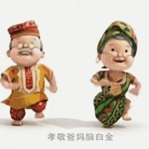 腦白金廣告視頻(腦白金廣告視頻的好處和效果)